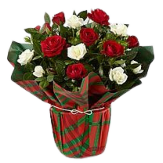 Christmas Festive Elegance Bouquet