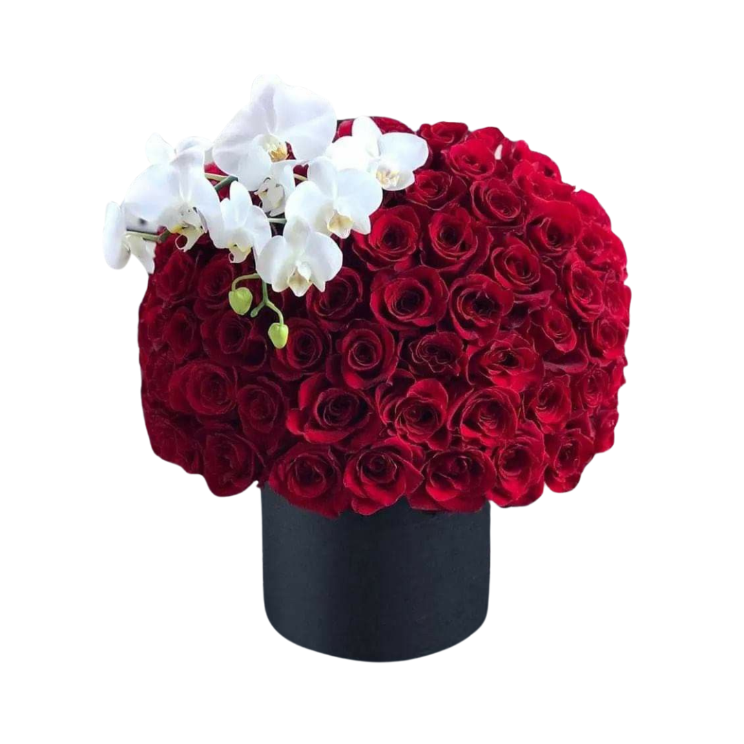 Dubai's Best Valentine Bouquets – Roses, Orchids, and More