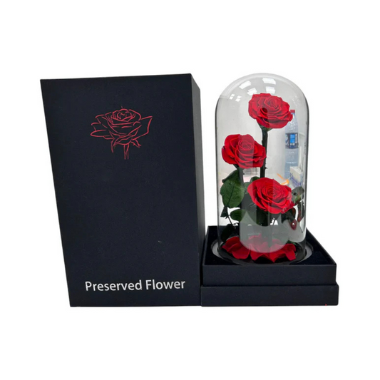 Forever Roses for Valentine's Day – Lasting Love, Beautiful Gifts