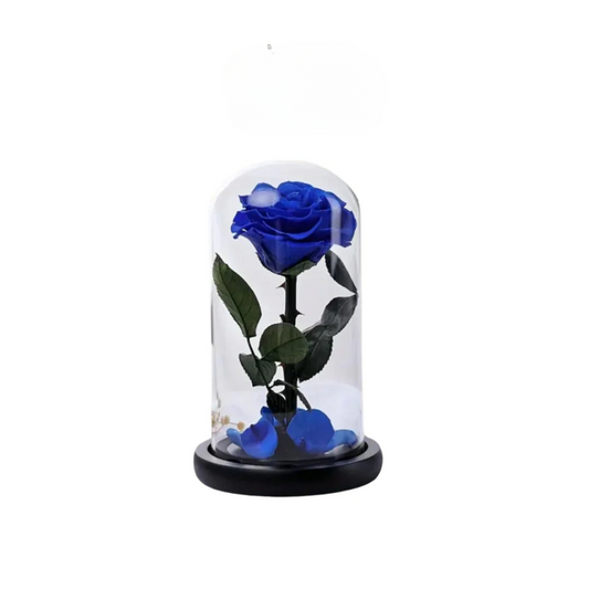 Infinity Preserved Rose in Glass: Lovely Gift in Dubai