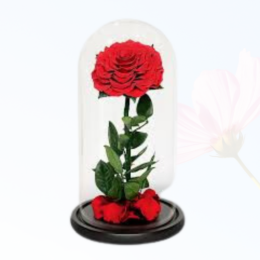 Infinity Rose in Glass: Timeless Love for Dubai Gifting