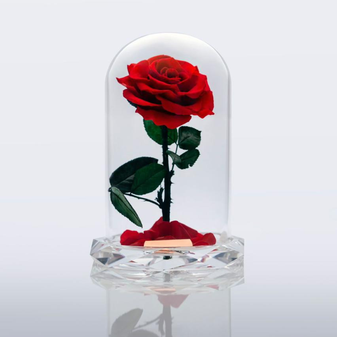 Valentines Infinity Crystal Rose