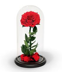 Infinity Rose in Glass: Dubai’s Luxury Gift for Special Occasions, featuring a Long-Lasting Preserved Rose with Eternal Bloom. Ideal for Anniversaries, Valentine's Day, and Other Celebrations. Infinity Roses in Dubai, Infinity Rose Delivery in Dubai, Forever Rose, Infinite Roses for Gift.