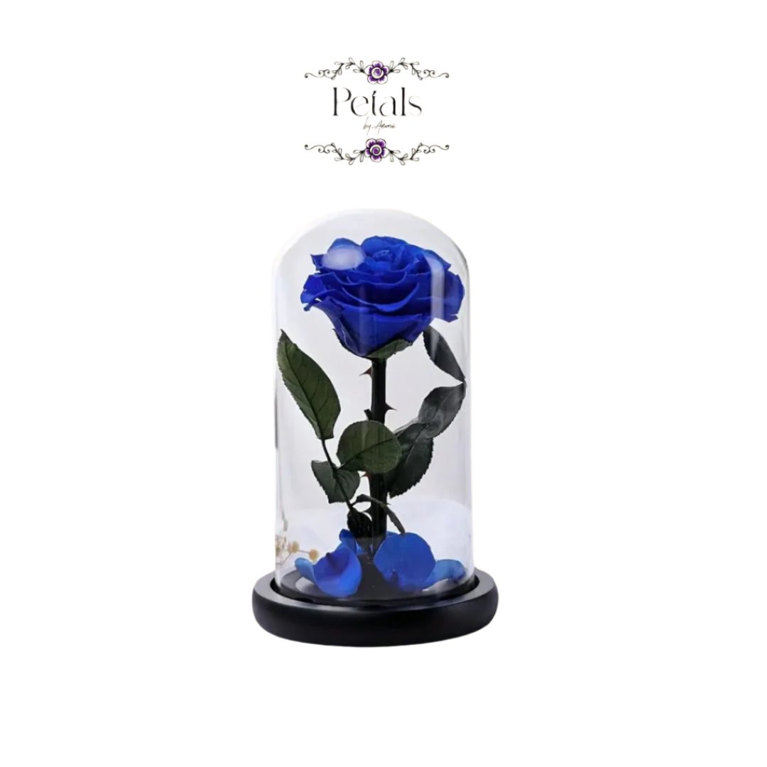 Infinity Preserved Rose in Glass: Lovely Gift in Dubai